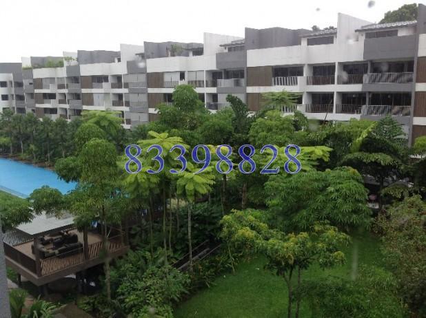 Meadows @ Peirce (D26), Condominium #65028962